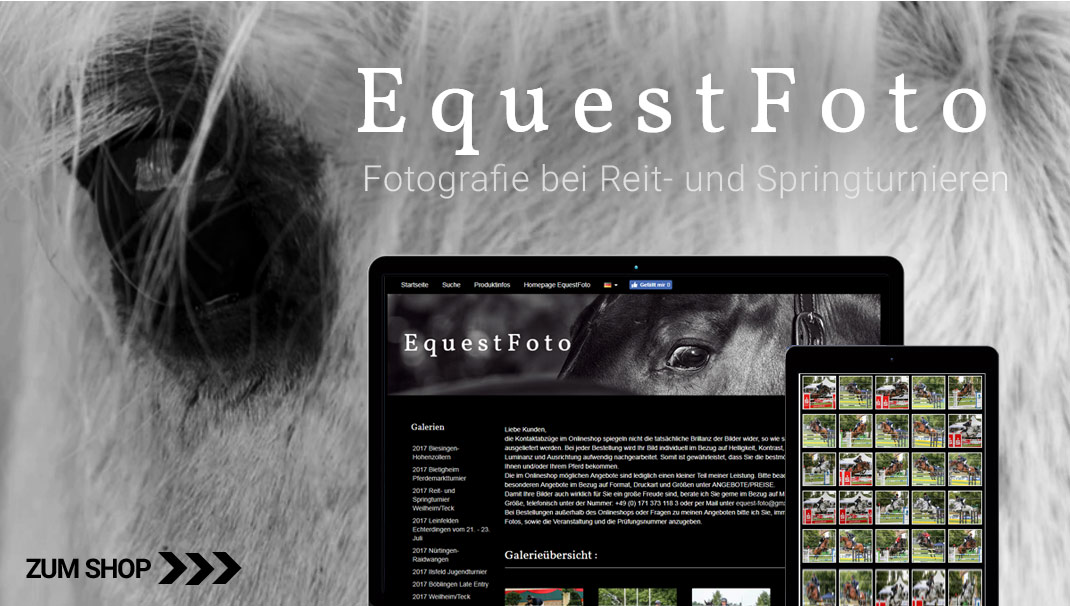Webshop equestfoto