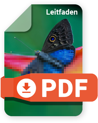 DPI und Pixel, Größe und Format – Tipps, Tools und Vergleiche.