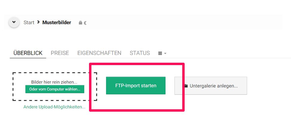 Schritt 7 - Import in den Shop